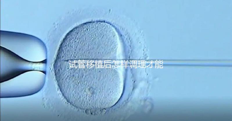 試管移植后怎樣調理才能增加胚胎著床的幾率?