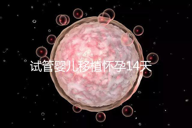 試管嬰兒移植懷孕14天,還能吃巧克力餅干嗎?