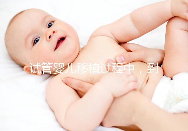 試管嬰兒移植過程中,到底是囊胚好還是鮮胚好?