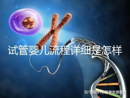 試管嬰兒流程詳細(xì)是怎樣的？步驟+注意事項一文讀懂！