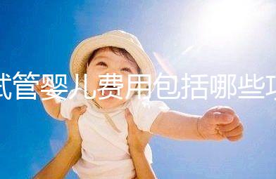 試管嬰兒費(fèi)用包括哪些項(xiàng)目(試管嬰兒費(fèi)用包括哪些項(xiàng)目呢)