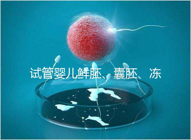 試管嬰兒鮮胚、囊胚、凍胚那個(gè)成功率高?