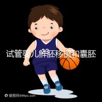 試管嬰兒鮮胚移植和囊胚移植的區(qū)別!哪個(gè)成功率高看完便知曉