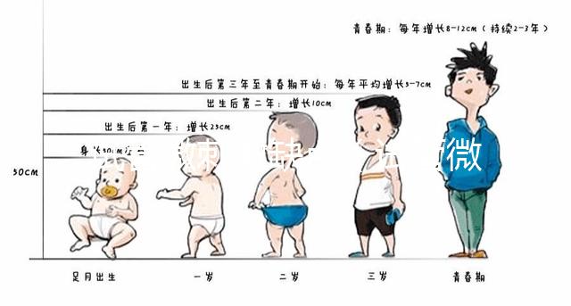 試管微刺激缺點(diǎn)(試管微刺激方案的優(yōu)勢(shì))