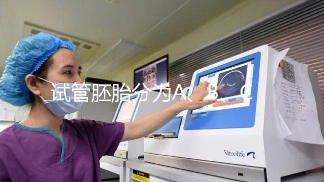 試管胚胎分為A、B、C、D四級，那么每一級分別代表什么？
