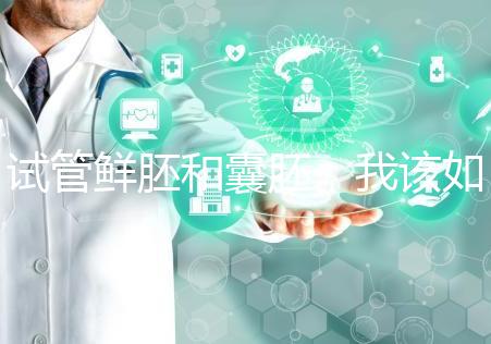 試管鮮胚和囊胚，我該如何選？