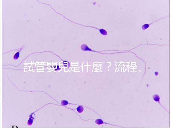 試管嬰兒是什麼？流程、費用、補助及人工受孕差異全解析！