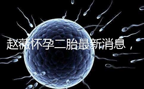 趙薇懷孕二胎最新消息，大肚子照公布網友紛紛送祝福