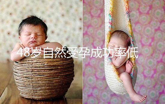 48歲自然受孕成功率低別擔心!提升懷孕的幾率僅需3招