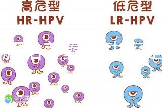 6個(gè)胚胎養(yǎng)囊成功率是多大答案在這,能配成3個(gè)機(jī)會就大