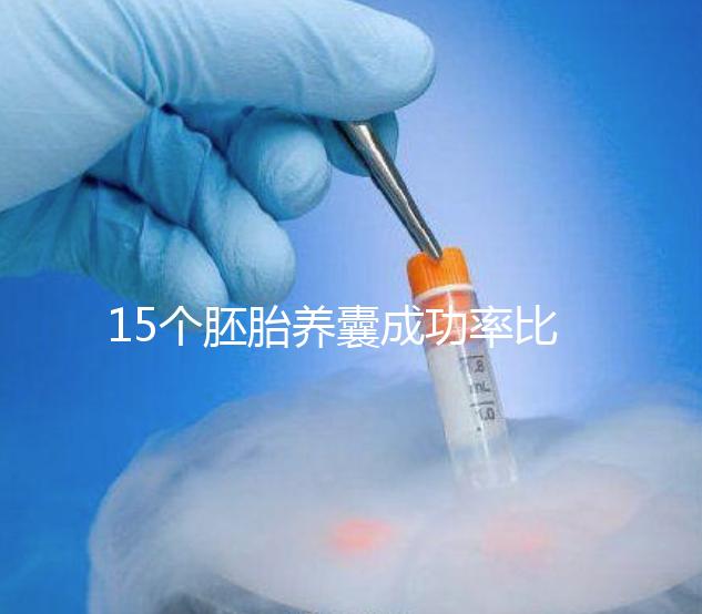 15個胚胎養囊成功率比想象高，只成了1個不正常要警惕