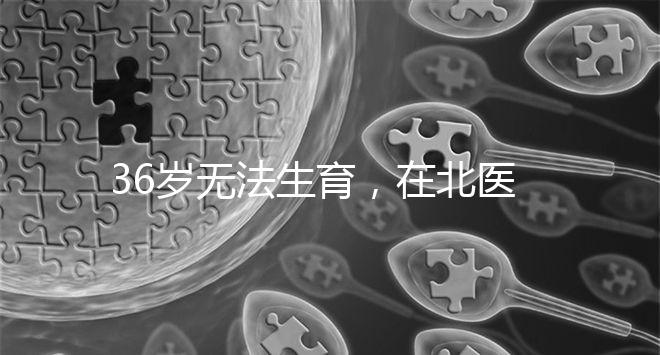 36歲無法生育，在北醫三院做人工授精成功率有多少？