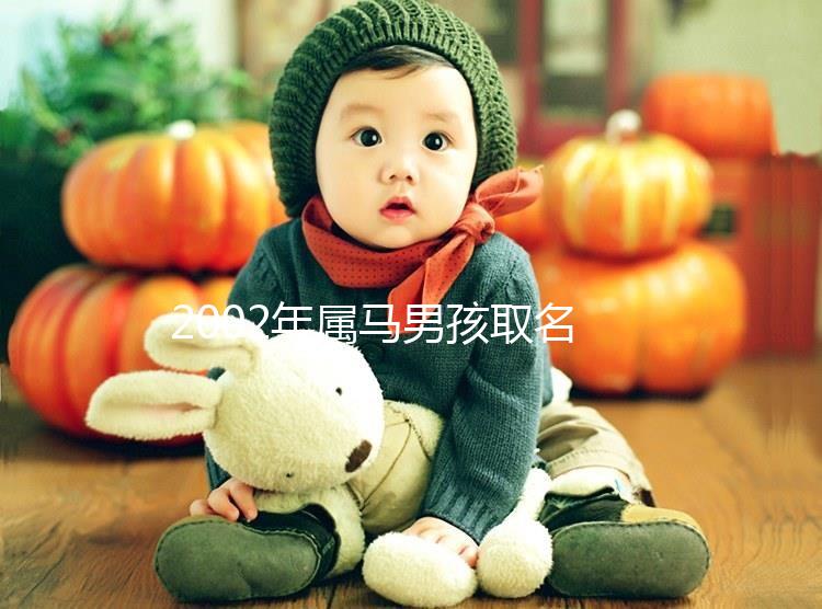 2002年屬馬男孩取名，經典又大氣