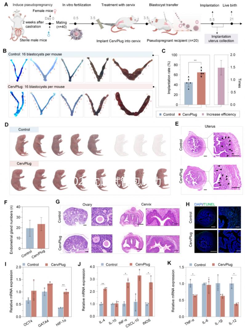 2024沈陽試管包成功醫院不可信，盛京醫院最高不超過70%