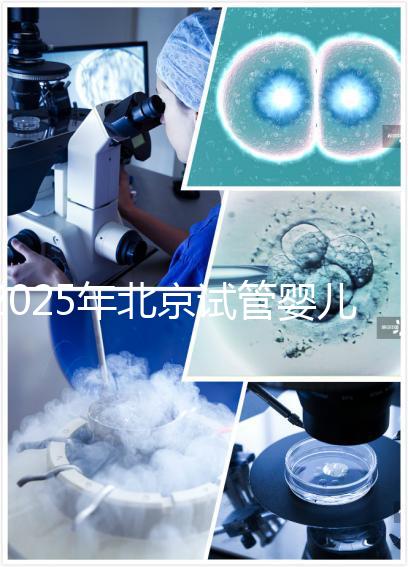2025年北京試管嬰兒成功價格揭秘:大約在10萬到15萬元之間!