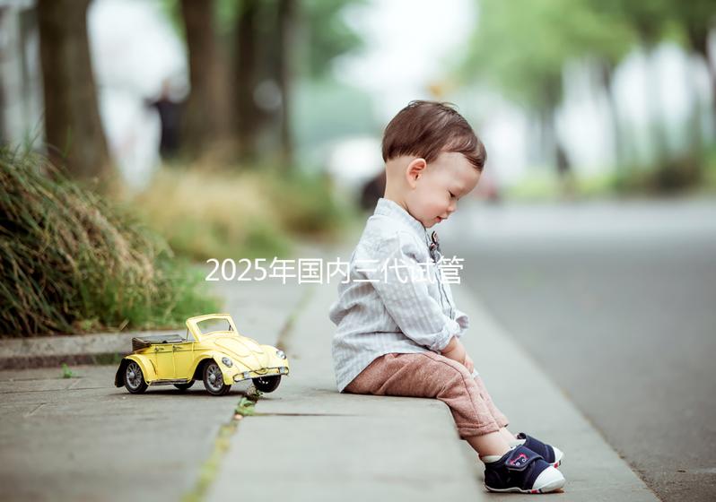 2025年國(guó)內(nèi)三代試管嬰兒公立醫(yī)院排名前十有哪些?